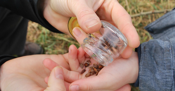 Helping Children Plant Lasting Seeds of Faith